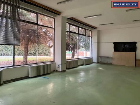 Pronájem výrobních prostor, Bučovice, Nová, 1 m2