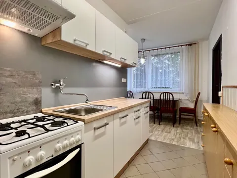 Pronájem bytu 2+1, Vyškov, Puškinova, 56 m2