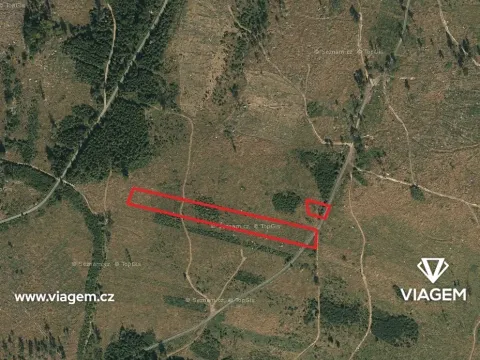 Prodej podílu lesa, Nová Hradečná, 709 m2