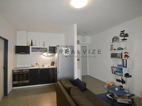 Pronájem bytu 1+kk, České Budějovice, Lidická tř., 35 m2