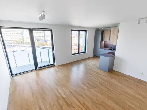 Prodej bytu 2+kk, Praha - Žižkov, Seifertova, 74 m2