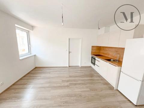 Pronájem bytu 2+kk, České Budějovice, Nová, 47 m2