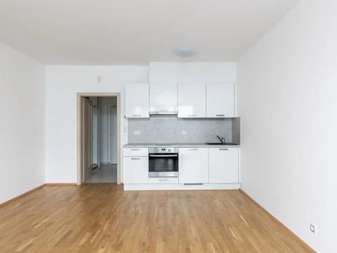 Pronájem bytu 1+kk, Praha - Žižkov, Olšanská, 37 m2