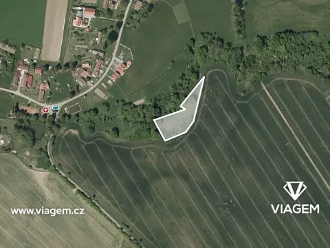 Prodej podílu pole, Mladějov, 1447 m2