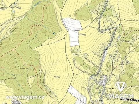 Prodej podílu lesa, Zlatá Olešnice, 569 m2