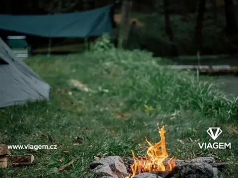 Prodej podílu lesa, Stříbrná Skalice, 2041 m2