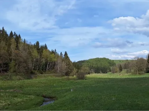 Dražba pozemku, Moldava, 58322 m2