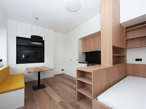 Pronájem bytu 1+kk, Brno, Botanická, 25 m2