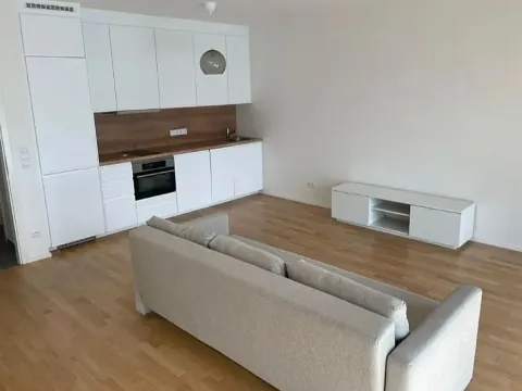 Pronájem bytu 1+kk, Praha - Žižkov, Krásova, 40 m2