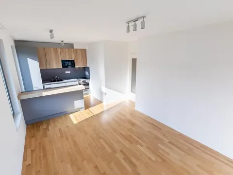 Prodej bytu 3+kk, Praha - Žižkov, Seifertova, 82 m2