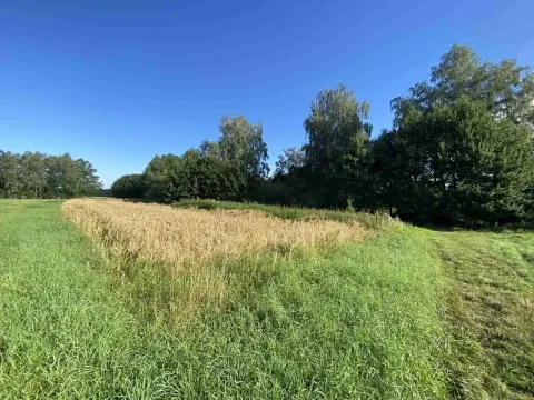 Dražba louky, Chlum u Třeboně, 1447 m2