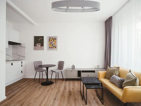 Pronájem bytu 1+kk, Praha - Strašnice, Petrovická, 23 m2