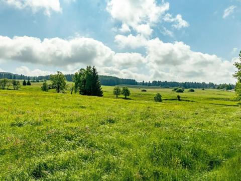 Prodej pozemku pro bydlení, Horní Blatná, Perninská, 1347 m2