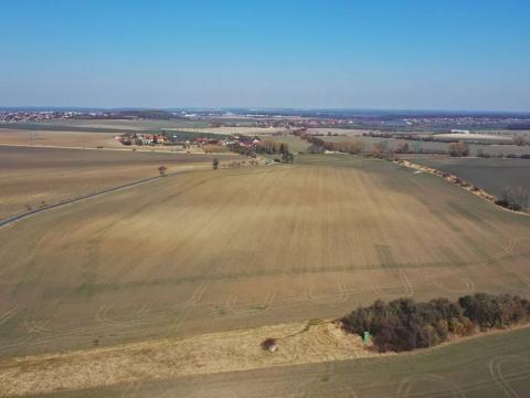 Prodej pole, Poběžovice u Přelouče, 13911 m2