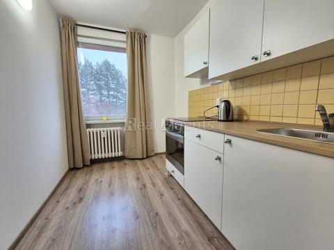 Pronájem bytu 1+kk, Nový Jičín, Za Korunou, 25 m2