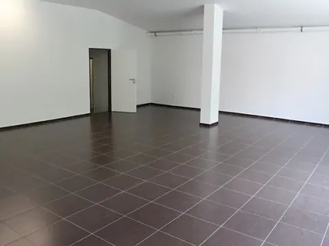 Pronájem obchodního prostoru, Prostějov, Wolkerova, 238 m2