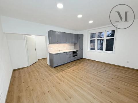 Pronájem bytu 1+kk, České Budějovice, Dělnická, 34 m2