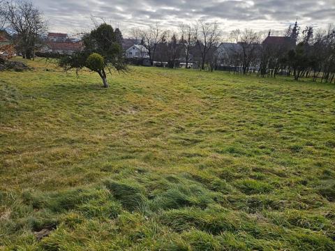 Prodej pozemku pro bydlení, Vražné, 4000 m2