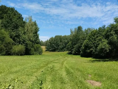 Prodej louky, Červená Řečice, 3840 m2