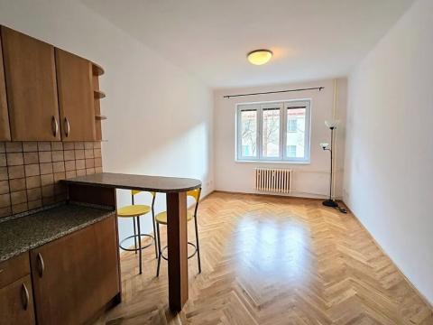 Pronájem bytu 1+kk, Praha - Žižkov, Biskupcova, 30 m2