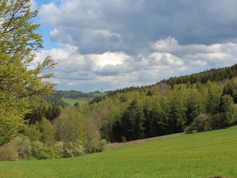 Prodej louky, Horská Kvilda, 160000 m2