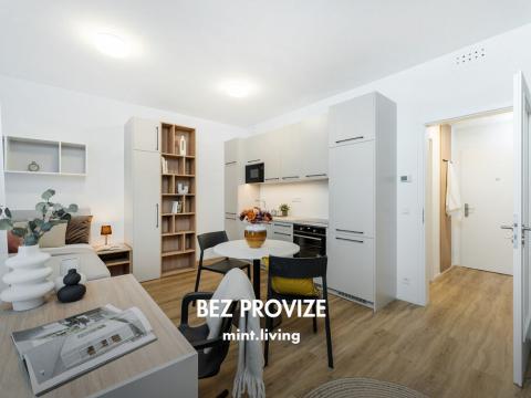 Pronájem bytu 1+kk, Praha - Vysočany, Odkolkova, 36 m2