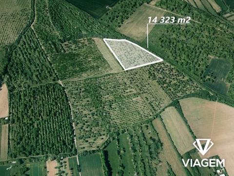 Prodej podílu pole, Želešice, 511 m2