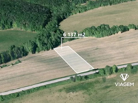 Prodej pole, Doubravy, 6137 m2