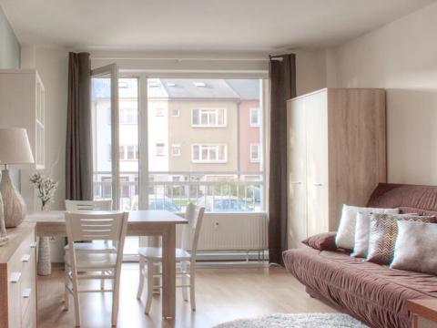 Pronájem bytu 1+kk, Brno, Božetěchova, 23 m2