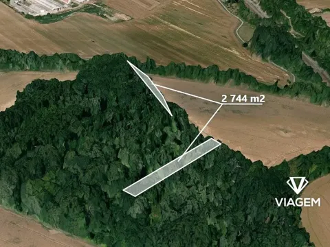 Prodej podílu lesa, Čehovice, 686 m2