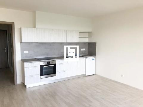 Pronájem bytu 1+kk, Olomouc, Slavonínská, 40 m2