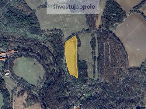 Prodej louky, Kouřim, 5950 m2