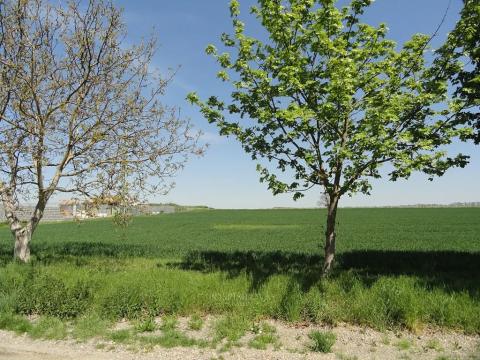 Prodej komerčního pozemku, Úhonice, Na Vlečce, 12268 m2