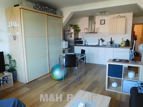 Pronájem bytu 1+kk, Frýdlant nad Ostravicí, 57 m2