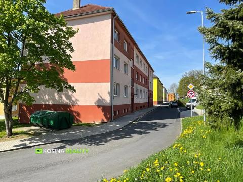Prodej bytu 2+1, Habartov, Raisova, 58 m2