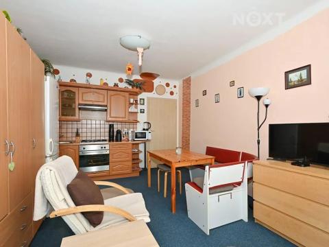 Prodej bytu 1+1, Brno, Skácelova, 45 m2