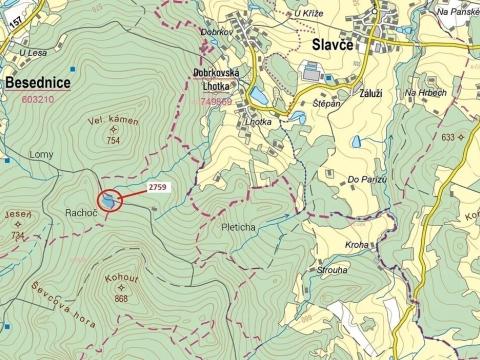 Dražba lesa, Besednice, 12900 m2