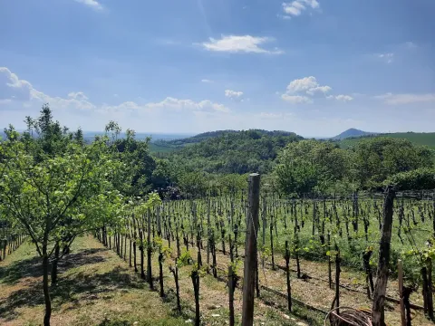Prodej zahrady, Žitenice, 817 m2