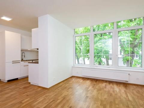 Pronájem bytu 1+kk, Praha - Libeň, Zenklova, 36 m2