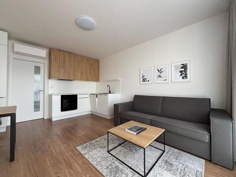 Pronájem bytu 1+kk, Praha - Karlín, Pernerova, 29 m2