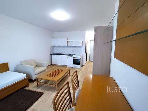 Pronájem bytu 1+kk, Čížová, 23 m2