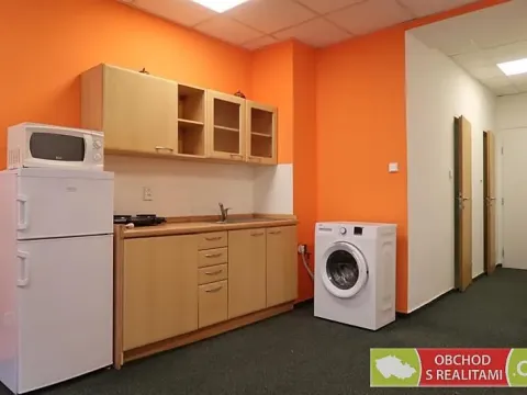 Pronájem bytu 1+kk, Praha - Žižkov, Biskupcova, 31 m2
