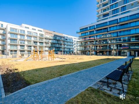 Pronájem bytu 1+kk, Praha - Žižkov, Tetauerova, 31 m2