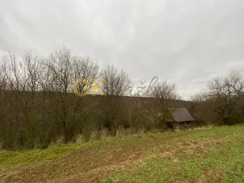 Dražba lesa, Šarovy, 11619 m2