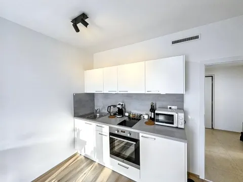 Prodej bytu 1+kk, Praha - Vysočany, Kolbenova, 30 m2