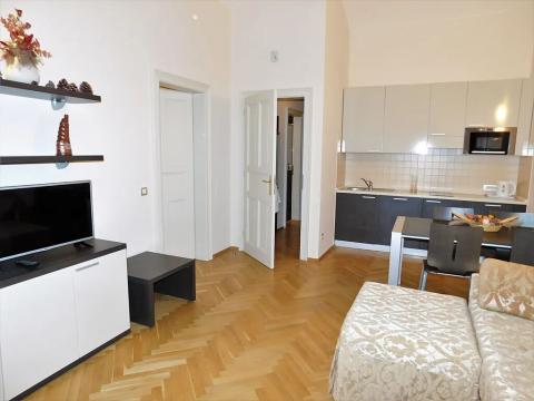 Pronájem bytu 2+kk, Praha - Nové Město, Hálkova, 45 m2