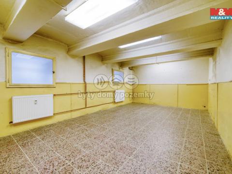 Pronájem skladu, Plzeň, Zikmunda Wintra, 58 m2