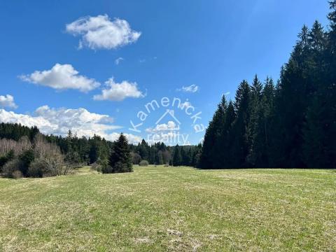 Prodej pozemku pro bydlení, Černá v Pošumaví, 25271 m2
