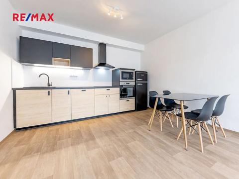 Pronájem bytu 2+kk, Plzeň, Otýlie Beníškové, 47 m2