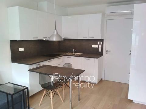 Pronájem bytu 1+kk, Brno, Studentská, 29 m2